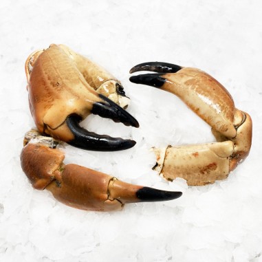 PINCE DE TOURTEAU CUITE (gros calibre)