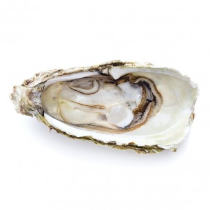 HUÎTRES IRISH SUPRÊME N°3