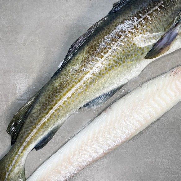 CABILLAUT_FILET_SANS PEAU