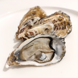 HUÎTRES FINES DE NORMANDIE