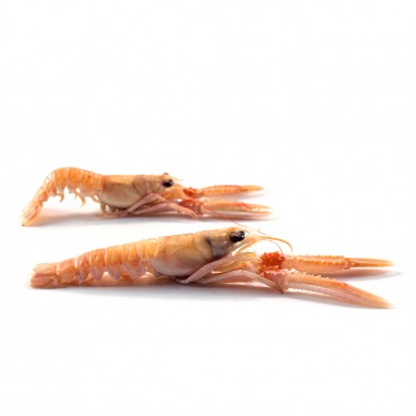 LANGOUSTINES CUITES