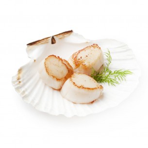 NOIX DE SAINT-JACQUES