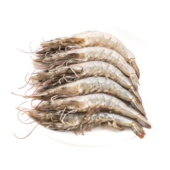 GAMBAS SURGELÉES