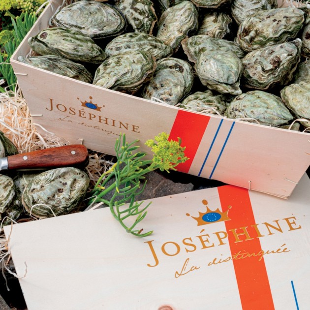 HUÎTRES JOSÉPHINE by Gillardeau