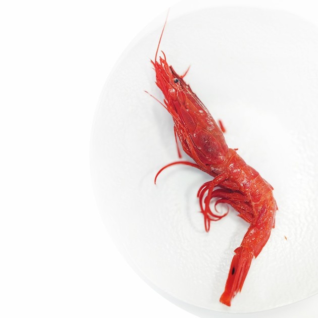 GAMBAS CARABINERO MOZAMBIQUE (surgelées)